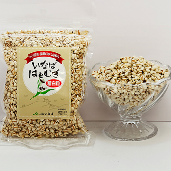 jainaba18-2